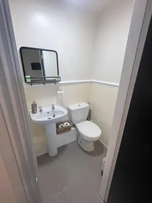 a bathroom with a toilet and a sink and a mirror at Elizabeth Grace House in Douglas