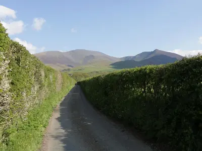 a dirt road in a field with mountains in the background at Apartment 3 in Keswick