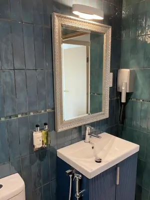 a bathroom with a sink and a mirror and a toilet at The Hutchinson Apartments in Douglas
