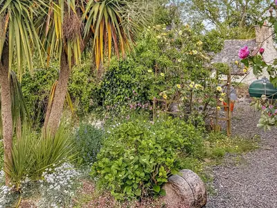 a garden with a bunch of flowers and plants at Clachries Cottage in Boreland of Colvend