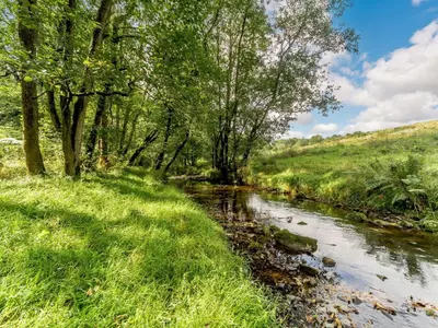 a stream with trees on the side of a field at 1 Bed in Easton 56742 in Kirklinton