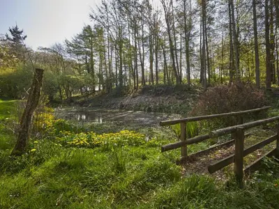 a wooden fence in a field with flowers at 2 Bed in Boltongate SZ396 in Mealsgate