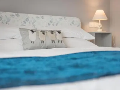 a bed with three owl pillows on it at 3 Bed in Portinscale SZ528 in Portinscale