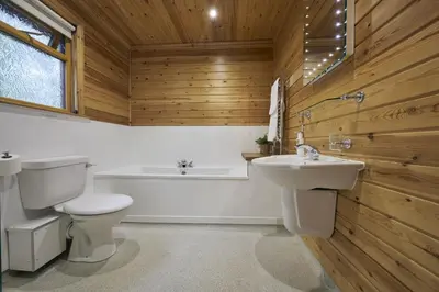 a bathroom with a toilet and a sink and a tub at Chiffchaff Lodge with Hot tub in Carlisle