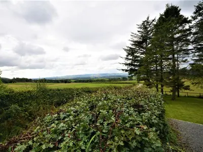 a large bush on the side of a road at 3 Bed in Lockerbie 89406 in Lockerbie