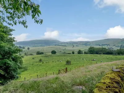 a field of green grass with sheep in the distance at 3 Bed in Matterdale oc-83002 in Dockray