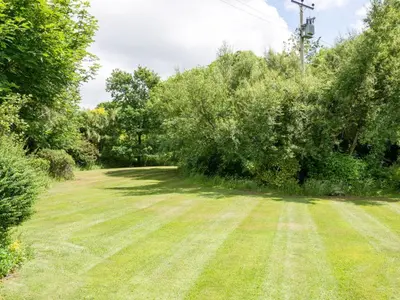 a grassy yard with trees and a telephone pole at 6 Bed in Workington oc-sz327 in Lamplugh