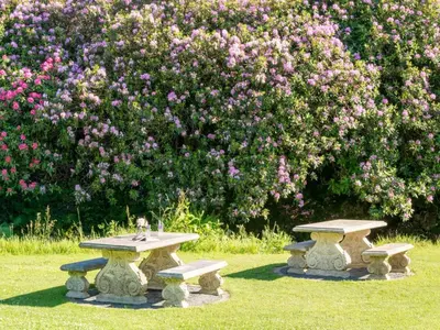 two picnic tables in front of a bush with flowers at 6 Bed in Workington oc-sz327 in Lamplugh