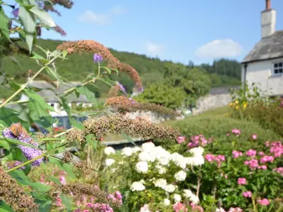 a garden of flowers in front of a house at 3 Bed in Bassenthwaite 84024 in Bassenthwaite