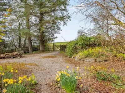 a garden with yellow flowers and a fence at 1 Bed in Penrith oc-sz295 in Dockray