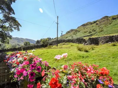 a field of flowers with a hill in the background at 2 Bed in Patterdale SZ470 in Patterdale