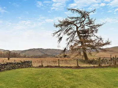 a tree in a field next to a stone fence at 3 Bed in Penrith oc-sz247 in Dockray