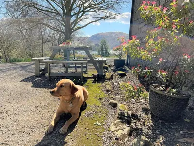 a dog laying on the ground next to a picnic table at 4 Bed in Ambleside oc-85294 in Grasmere