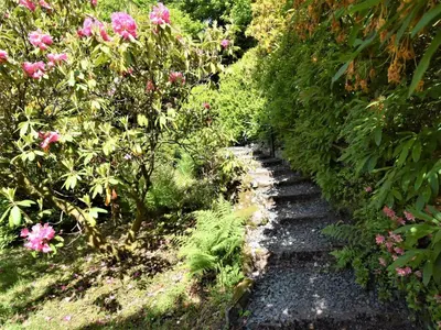 a path through a garden with pink flowers at 3 Bed in Keswick oc-90266 in Applethwaite