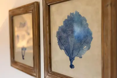 two framed paintings of a leaf on a wall at Sheepfold Barn in Penruddock