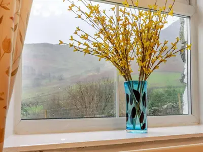 a vase sitting on a window sill with flowers in it at 2 Bed in Glenridding 90874 in Glenridding