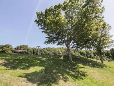 a tree in a field with a roller coaster at Haven Cottage in Kirkcudbright