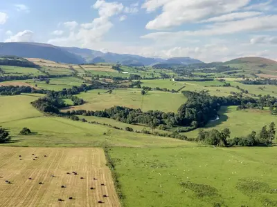 an overhead view of a field with animals in it at The Gardener's Retreat in Penrith