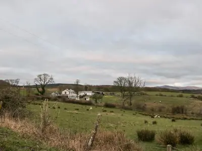 a field with a herd of animals in a field at High Wreah Bolt Hole in Whitehaven