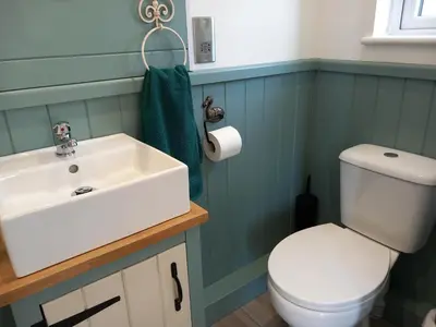 a bathroom with a white sink and a toilet at The Mad Hatter's Shepherd's Hut in Carlisle