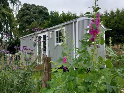 a small shed in a garden with flowers at The Mad Hatter's Shepherd's Hut in Carlisle