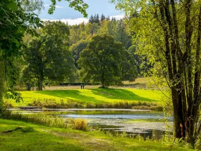 a pond in a park with trees and grass at Beautiful Cosy Holiday Home in Gorgeous Location - Pass the Keys in Beattock