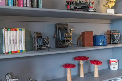 a shelf with some books and mushrooms on it at The Eyrie in Keswick