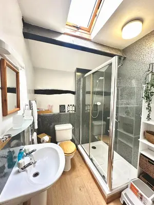 a bathroom with a shower and a sink and a toilet at Cottage On The Brook in Braithwaite
