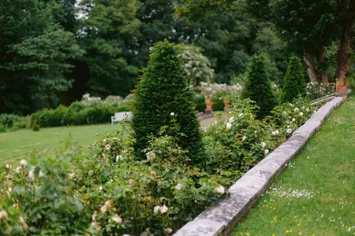 a garden with a row of christmas trees and flowers at The Tower in Carlisle