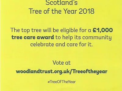 a yellow page with a tree of the year text at Kirkconnel Hall Hotel in Lockerbie