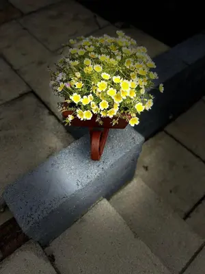 a pot of yellow flowers sitting on a curb at 2 bedroom static caravan in Muirkirk