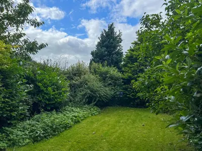 a garden with a lawn and trees and a blue sky at Bassenthwaite Farm Cottage, on a working farm in a tranquil setting in Bassenthwaite