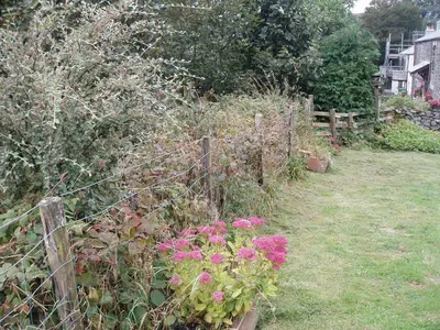 a garden with pink flowers and a fence at Fisher-gill Camping Barn in Thirlmere