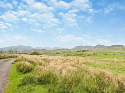 a road through a field of grass with mountains in the background at 3 Bed in Eskdale 94529 in Eskdale