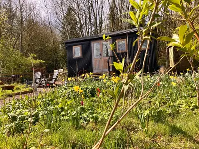 a small black house in a garden with flowers at Archie the shepherd’s hut in Penruddock