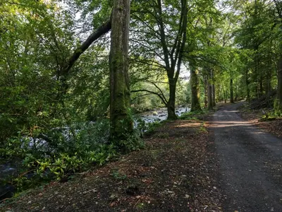 a dirt road through a forest next to a river at Dalegarth Hall Farm Cottage 1 in Holmrook