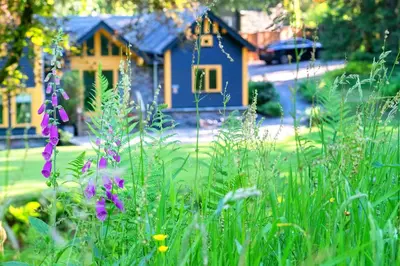 a garden with purple flowers in front of a blue house at Carr Crag Pavilion in Little Langdale