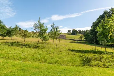 a field with trees in the middle of a field at The Gardeners Cottage, Hutton John is a luxurious cottage with hot tub 10 minutes from Lake Ullswater in Penruddock