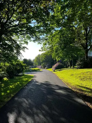 a road in a park with trees and grass at The Forest Cabin Holiday Home 15 in Ballantrae