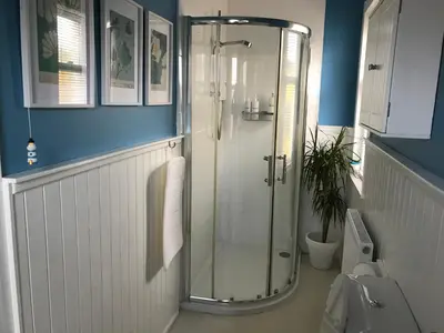 a bathroom with a glass shower with a toilet at Caerlaverock Cottage in Prestwick