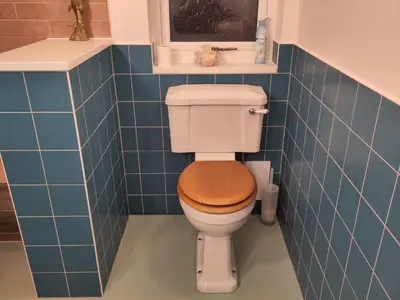 a bathroom with a toilet with a wooden seat at Birds Nest in Gatehouse of Fleet