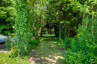 a path through a forest with green ivy at Courtyard Cottages Granary Cottage in Wigtown