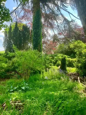 a lush green field with trees and plants at Above & Beyond at Warriston Lodge in Moffat