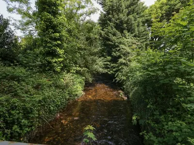 a path in the middle of a forest with trees at Gardeners Cottage in Millom