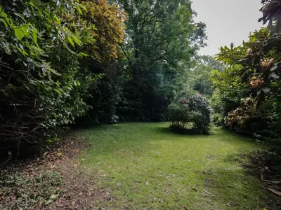 a yard with some bushes and some grass at Gardeners Cottage in Millom