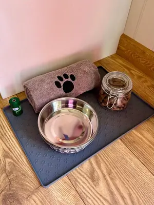 a dog bowl and a plate on a table at Lintmill Lodges - Thistle Shepherds Hut in Sorn