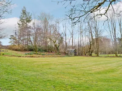 a large field of grass with trees in the background at Park Cottage in Gatehouse of Fleet