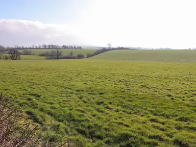 a field of green grass with trees in the distance at 2 South Street in Wigton