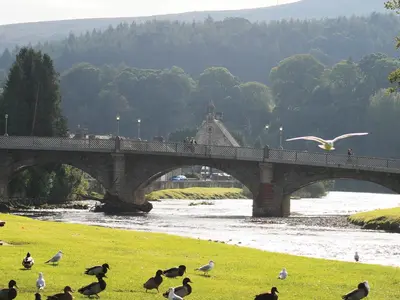 a bridge over a river with birds on the grass at Ewes Schoolhouse in Bentpath