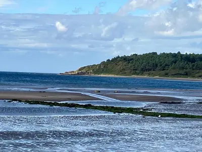 a beach with a body of water and trees at Wee Beach Hut Maidens in Maidens